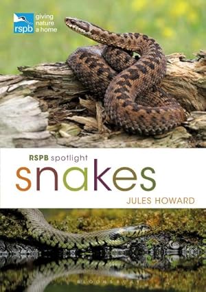Image du vendeur pour RSPB Spotlight Snakes mis en vente par AHA-BUCH GmbH