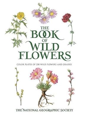 Seller image for Book of Wild Flowers : Color Plates of 250 Wild Flowers and Grasses for sale by AHA-BUCH GmbH