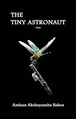 Seller image for The Tiny Astronaut for sale by AHA-BUCH GmbH