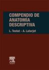 Compendio de anatomía descriptiva