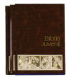 Image du vendeur pour Biblia Juvenil 2 tomos Mod. 5 mis en vente par AG Library