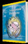 Anatomía Humana Tomo 2. Incluye Ebook