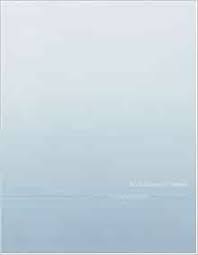Seller image for Felix Gonzalez-Torres for sale by DIAMOND HOLLOW BOOKS / MILES BELLAMY