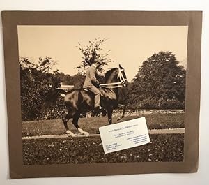 Two Large Photographs of a Performing or Trick Horse