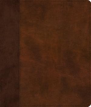 Seller image for Holy Bible : English Standard Version, Journaling Bible, Trutone, Brown/tan, Timeless Design for sale by GreatBookPrices