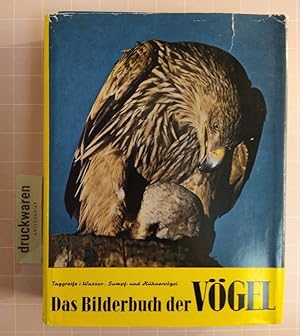 Imagen del vendedor de Das Bilderbuch der Vgel. Taggreife-Wasser-, Sumpf- und Hhnervgel. a la venta por Druckwaren Antiquariat