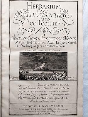 Image du vendeur pour Herbarium diluvianum. mis en vente par Antiquariat H. Carlsen