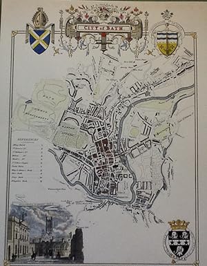 Seller image for The City of Bath (County Maps by Thomas Moule 1784-1851) for sale by Sheapast Art and Books