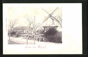 Ansichtskarte Sonderburg, Düppel-Mühle im Frühjahr, Windmühle