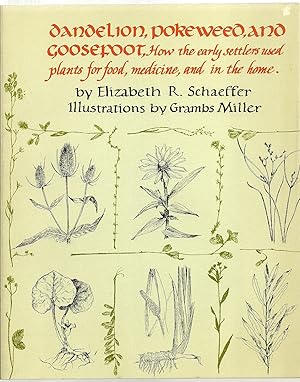 Image du vendeur pour Dandelion, Pokeweed and Goosefoot, How the early settlers used plants for food, medicine, and in the home mis en vente par Sabra Books