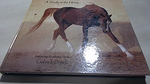 Seller image for Grace and Beaty. A Study Of The Horse for sale by BoundlessBookstore