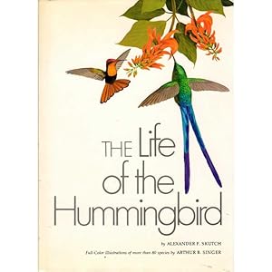 Imagen del vendedor de The Life of the Hummingbird a la venta por Buteo Books