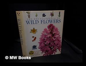 Seller image for The encyclopedia of wild flowers / John Akeroyd for sale by MW Books