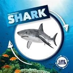 Seller image for Life Cycle of a Shark for sale by AHA-BUCH GmbH