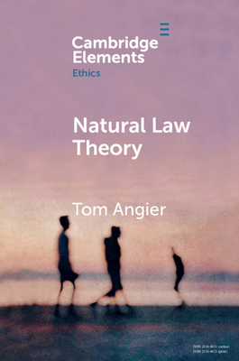 Imagen del vendedor de Natural Law Theory (Paperback or Softback) a la venta por BargainBookStores