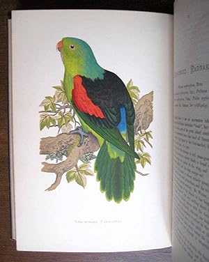 Parrots in captivity. With notes on several species by the Hon. and Rev. F.G. Dutton. Illustrated...