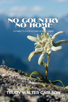 Seller image for No Country No Home: A Family's Exodus and Homecoming (Paperback or Softback) for sale by BargainBookStores