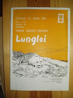 Town Survey Report : Lunglei