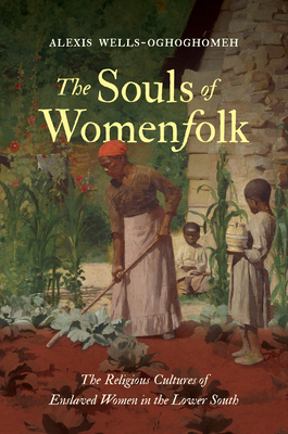 Immagine del venditore per The Souls of Womenfolk: The Religious Cultures of Enslaved Women in the Lower South (Paperback or Softback) venduto da BargainBookStores