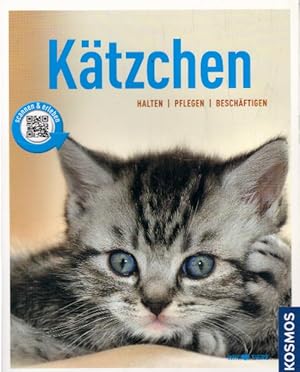 Immagine del venditore per Ktzchen: halten, pflegen, beschftigen (Mein Tier) venduto da AMAHOFF- Bookstores