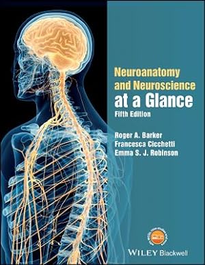 Seller image for Neuroanatomy and Neuroscience at a Glance (Paperback or Softback) for sale by BargainBookStores