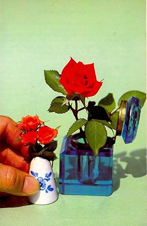 Image du vendeur pour The American Rose Annual : 1980 [Vol. 65] [Red Hybrid Teas, Old Roses for Small Gardens, A Rose Man Tours China, Growing Exhibition Roses, McGredy & Son, Fabulous Floribunda, Earthworms & Rose Bed Tilth, Hybridizing Roses, Pigments and Petal Colors] mis en vente par Joseph Valles - Books