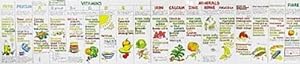 Bild des Verkufers fr Vitamin Chart zum Verkauf von Smartbuy