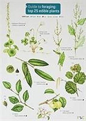 Seller image for Guide to Foraging: Top 25 Edible Plants for sale by Smartbuy