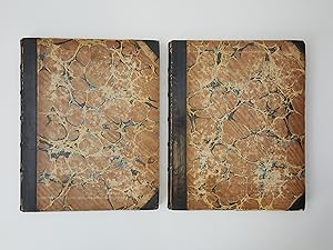 Bild des Verkufers fr Wales Illustrated, in a Series of Views (Comprising the Picturesque Scenery, Towns, Castles, Seats of the Nobility & Gentry, Antiquities &c) [2 volumes] zum Verkauf von Keoghs Books