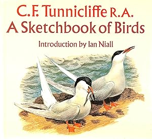 Seller image for Sketchbook of Birds for sale by M Godding Books Ltd