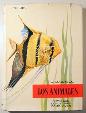 Seller image for LOS ANIMALES vol. 4 . Anfibios, peces - Barcelona 1960 - Muy ilustrado for sale by Llibres del Mirall