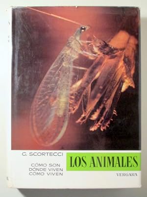 Seller image for LOS ANIMALES vol. V. Insectos - Barcelona 1967 - Muy ilustrado for sale by Llibres del Mirall