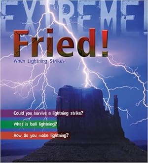 Bild des Verkufers fr Extreme Science: Fried!: When Lightning Strikes zum Verkauf von WeBuyBooks