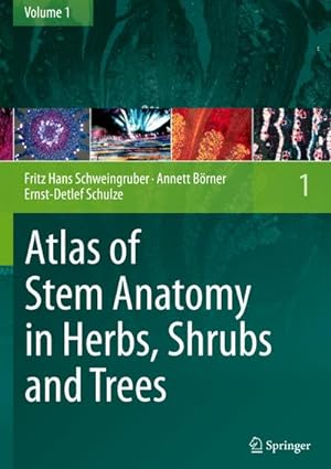 Bild des Verkufers fr Atlas of Stem Anatomy in Herbs, Shrubs and Trees : Volume 1 zum Verkauf von AHA-BUCH GmbH