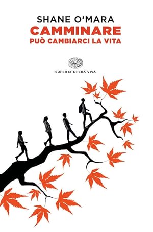 Seller image for Camminare Puo Cambiarci La Vita for sale by Piazza del Libro