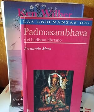 Seller image for DESPUS DEL EDN Una visin transpersonal del desarrollo humano + PADMASAMBHAVA y el budismo tibetano (2 libros) for sale by Libros Dickens