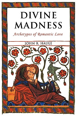 Image du vendeur pour Divine Madness: Archetypes of Romantic Love (Paperback or Softback) mis en vente par BargainBookStores