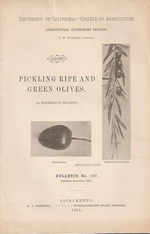 PICKLING RIPE AND GREEN OLIVES. (University of California College of Agriculture Agricultural Exp...