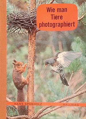 Seller image for Wie man Tiere photographiert. Ill. von Hans Sponholz u. Ren P. Bille / Hallwag-Taschenbcher ; Bd. 79 for sale by Logo Books Buch-Antiquariat