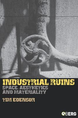 Seller image for Industrial Ruins: Space, Aesthetics and Materiality (Paperback or Softback) for sale by BargainBookStores