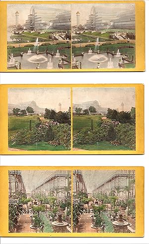 THREE (3) TINTED STEREOVIEWS OF THE CRYSTAL PALACE