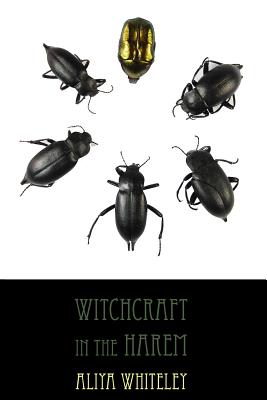 Bild des Verkufers fr Witchcraft in the Harem (Paperback or Softback) zum Verkauf von BargainBookStores