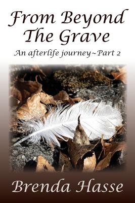 Seller image for From Beyond The Grave: An afterlife journey Part 2 (Paperback or Softback) for sale by BargainBookStores