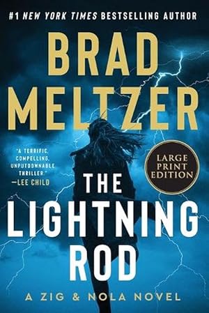 Seller image for The Lightning Rod (Paperback) for sale by Grand Eagle Retail