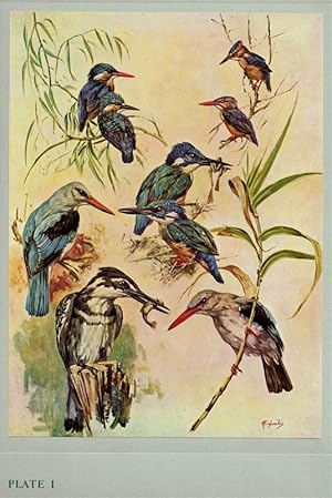 Seller image for Our birds. 8 colour plates. for sale by St. Jrgen Antiquariat