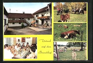 Bild des Verkufers fr Ansichtskarte Kaining, Gasthaus Brandlhof, Ferien auf dem Bauernhof zum Verkauf von Bartko-Reher