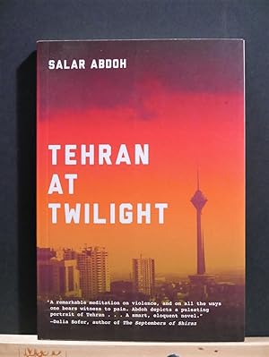 Tehran at Twidlight