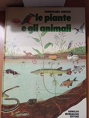Guardiamo dentro le piante e gli animali