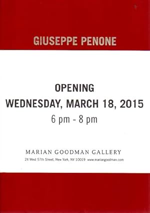 Bild des Verkufers fr Indistiniti confini. Marian Goodman Gallery, New York. March 15 - April 25, 2015. zum Verkauf von Antiquariat Querido - Frank Hermann