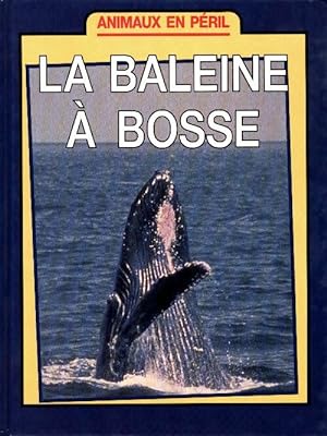 La Baleine à bosse - Michael Bright